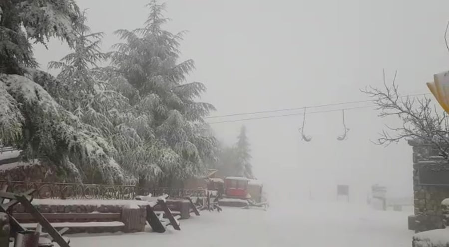 WhatsApp Video 2019-01-03 at 09.40.53 (1)