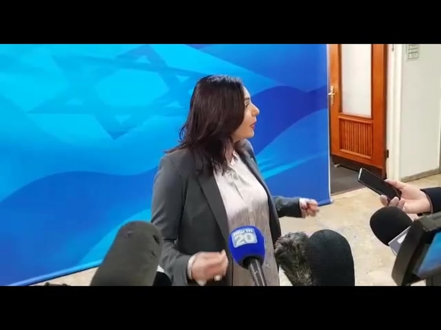 רגב ממשלה 6.1.19