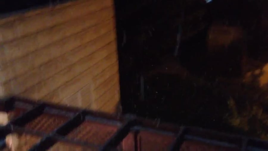 WhatsApp Video 2019-01-16 at 19.20.06