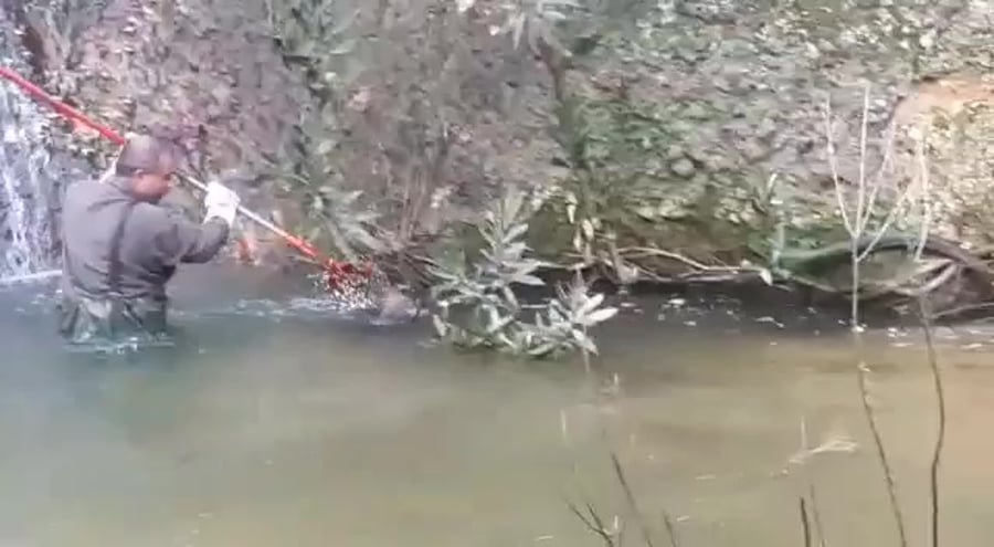 WhatsApp Video 2019-02-06 at 16.33.51