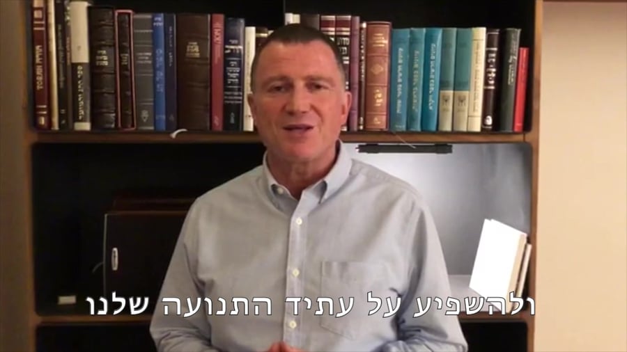אדלשטיין פריימריז