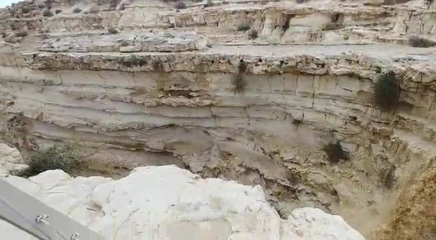 WhatsApp Video 2019-02-07 at 12.02.57