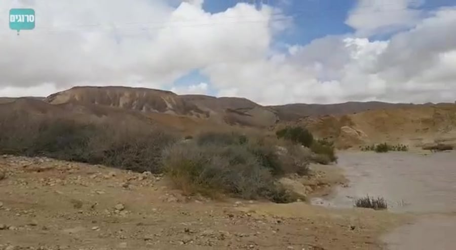WhatsApp Video 2019-03-25 at 11.30.19