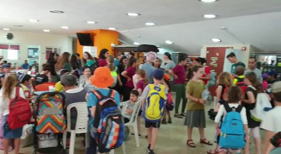 WhatsApp Video 2019-05-05 at 13.19.02