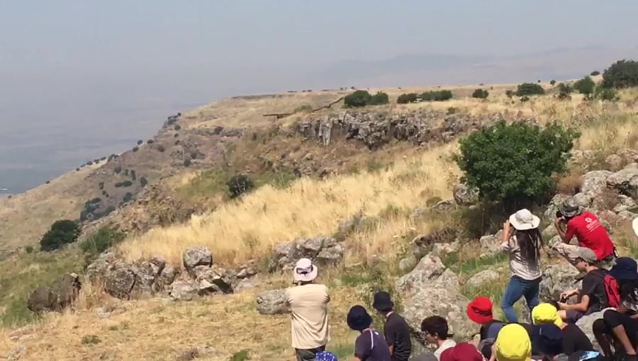 קרדיט צילום אביה חן רשות הטבע והגנים (1)