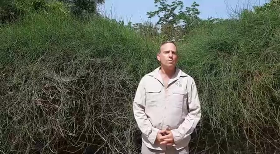 WhatsApp Video 2019-05-22 at 10.20.00