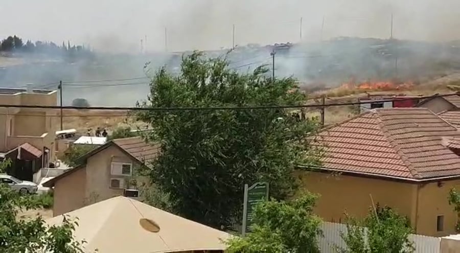 WhatsApp Video 2019-05-23 at 13.50.28