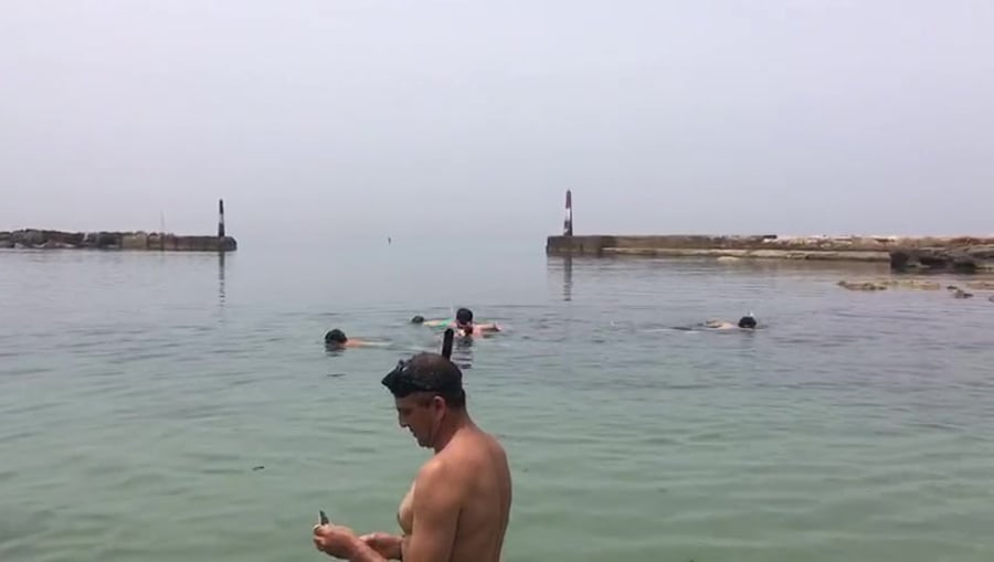 WhatsApp Video 2019-05-26 at 12.25.23