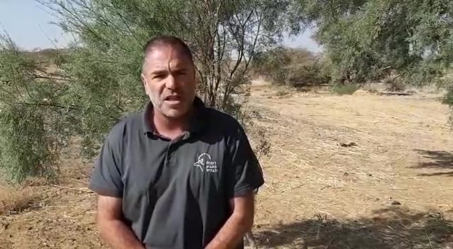 WhatsApp Video 2019-06-17 at 10.58.39