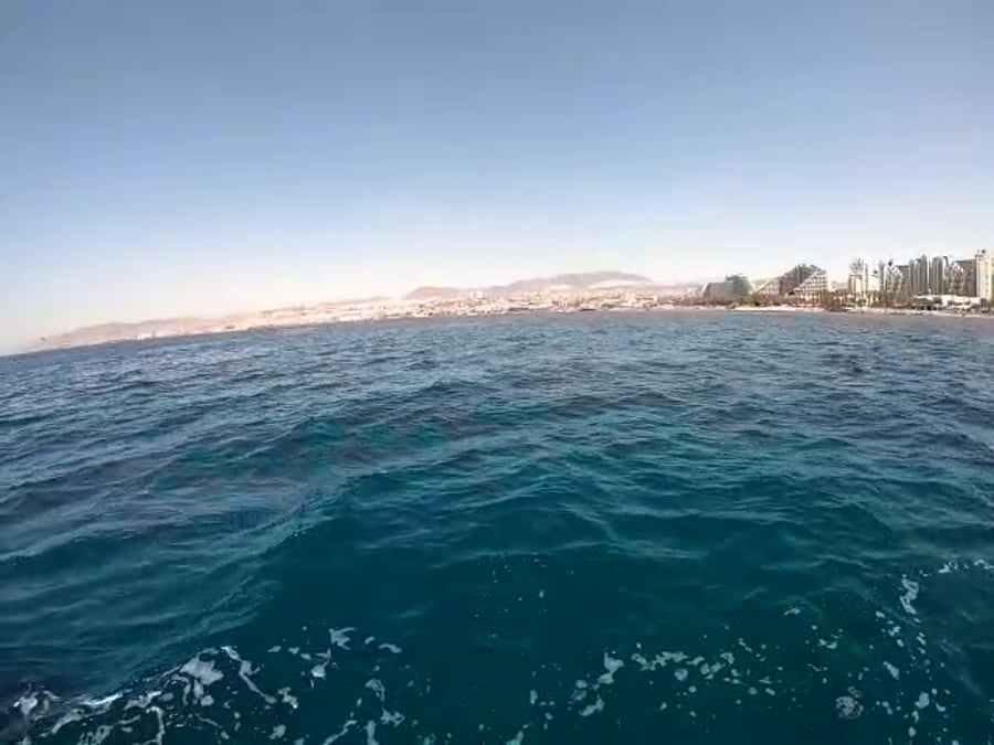 יניב לוי רשות הטבע והגנים