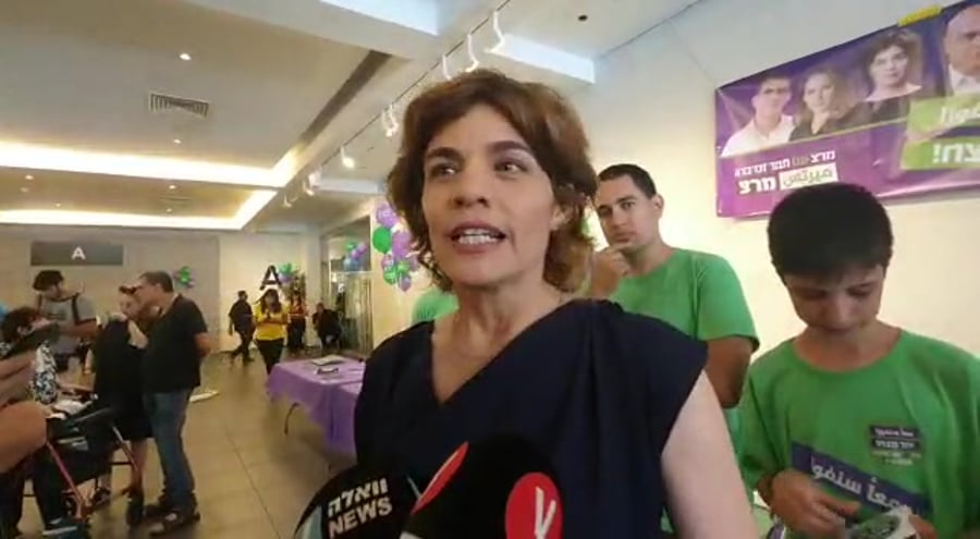תמר זנדברג בחירות מרצ