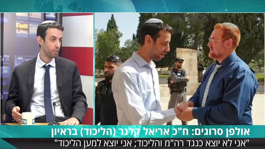 אריאל קלנר סרוגים