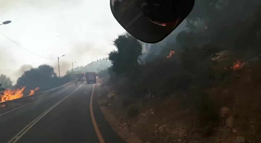 WhatsApp Video 2019-07-17 at 15.48.49