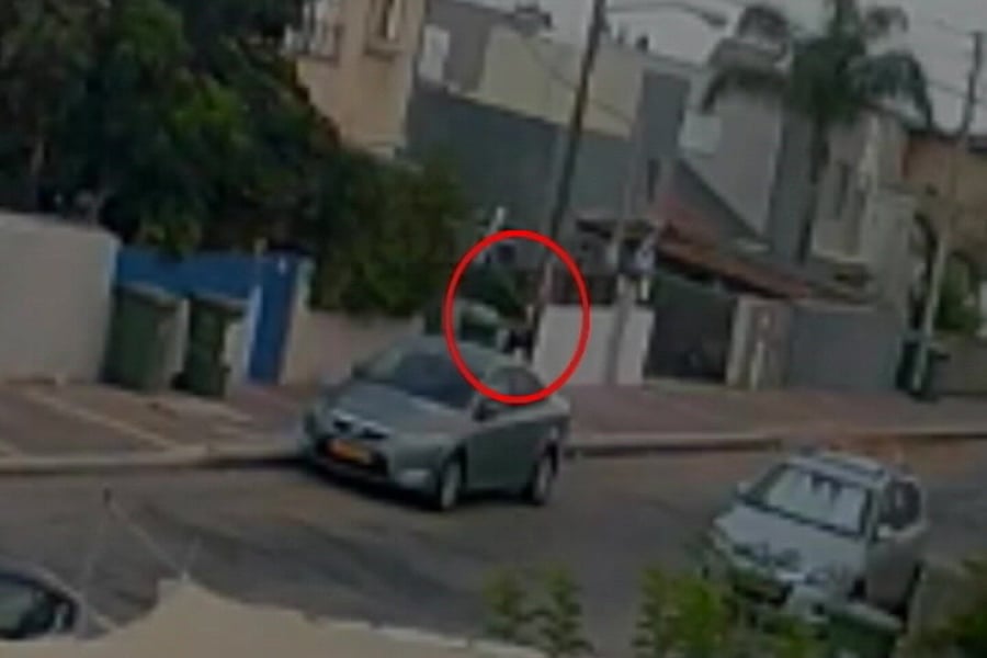 WhatsApp Video 2019-07-17 at 15.09.37