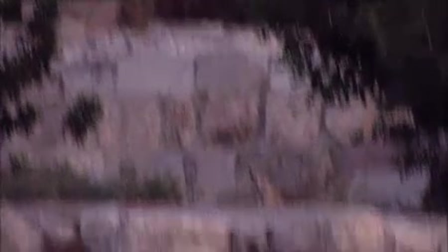 WhatsApp Video 2019-08-01 at 11.27.47