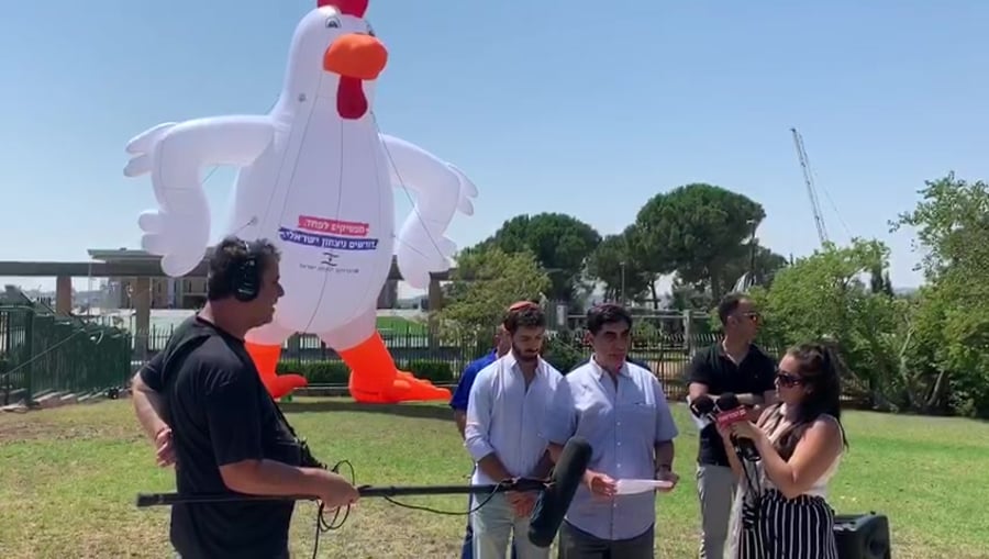 WhatsApp Video 2019-08-14 at 11.42.22
