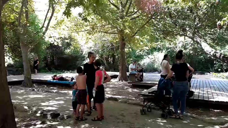שניר. חגי שלמה רשות הטבע והגנים