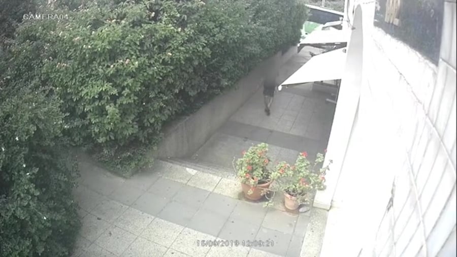 WhatsApp Video 2019-10-03 at 11.57.58
