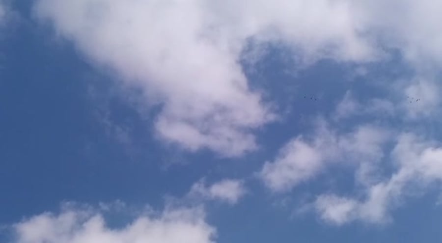 WhatsApp Video 2019-10-30 at 13.43.27
