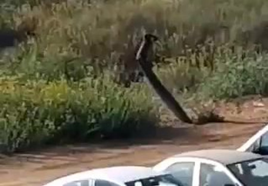 רקטה נפלה באשדוד צילום י.ב