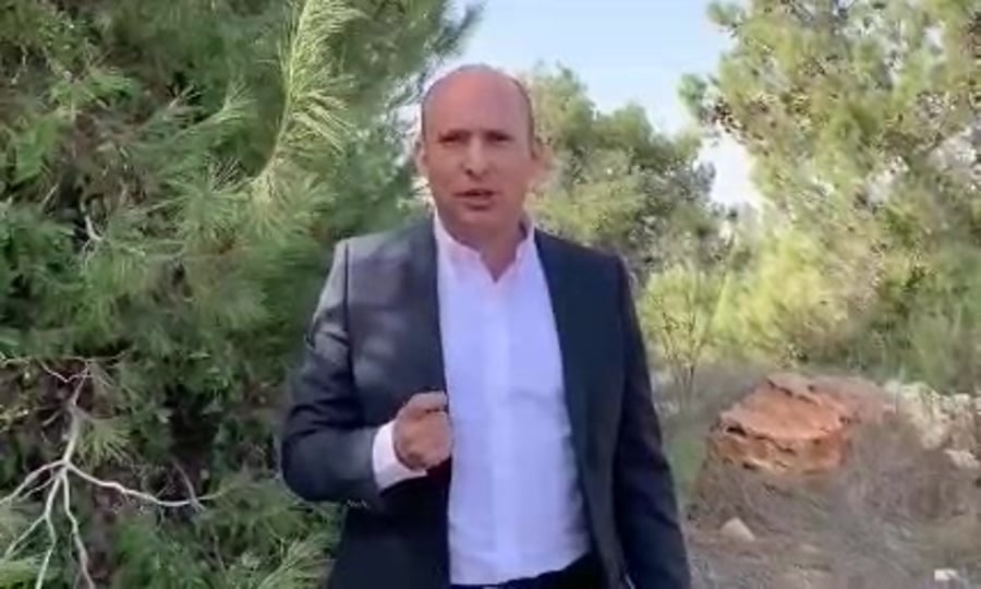 WhatsApp Video 2019-11-13 at 13.42.41
