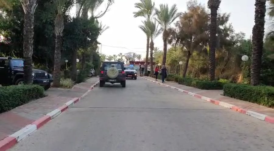 זירה אשקלון מדא מבצעי