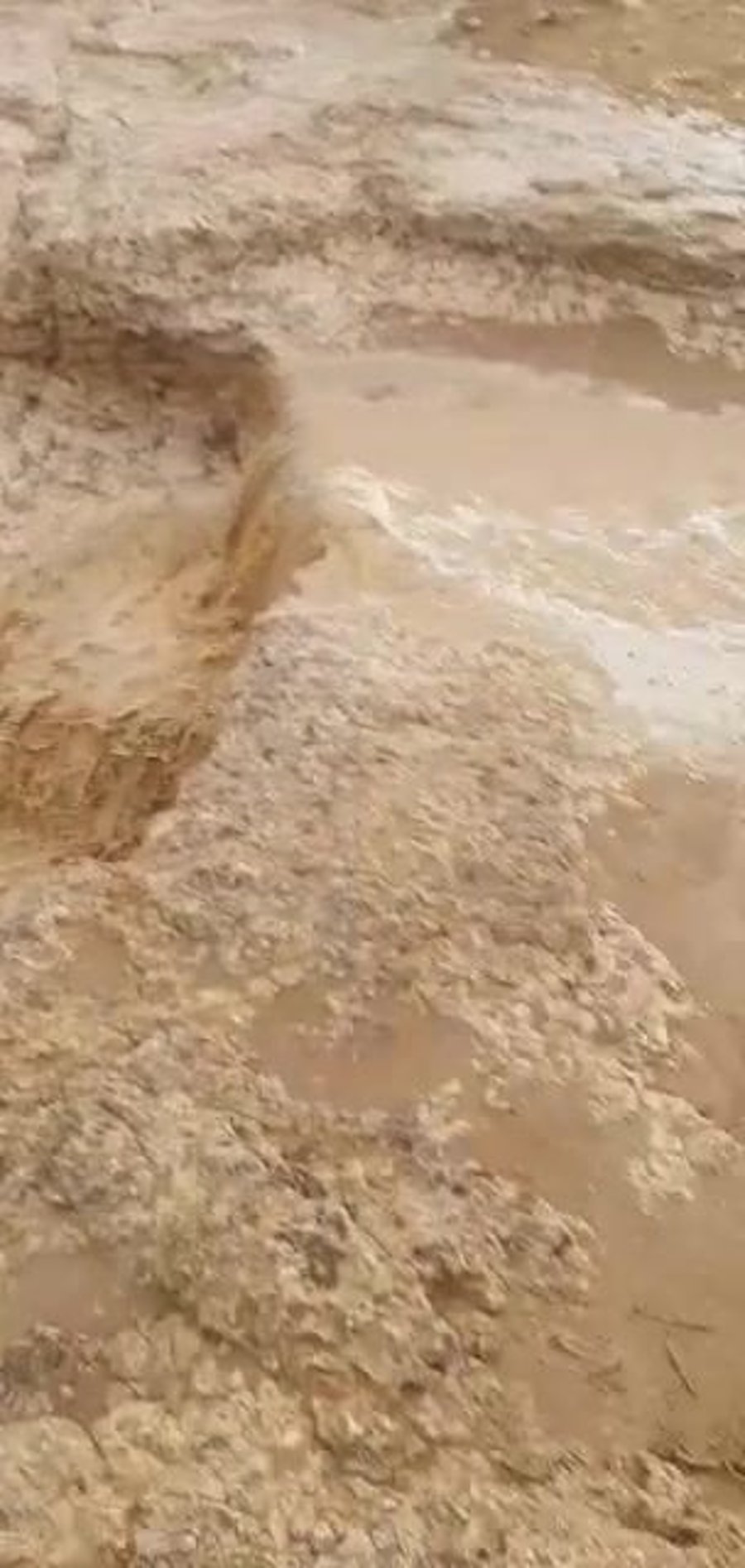 עין ירקעם