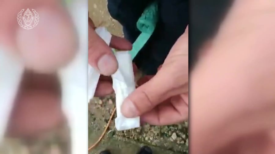 WhatsApp Video 2020-01-20 at 12.12.37