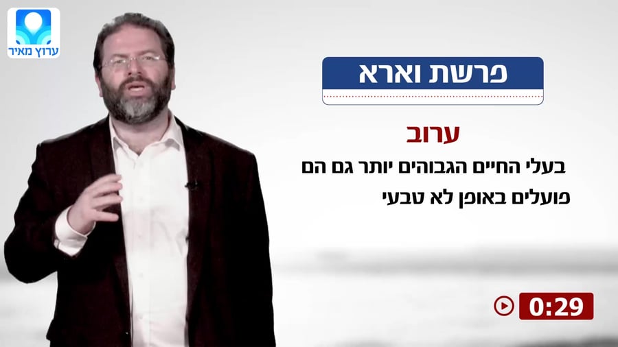 לונדין פרשת וארא