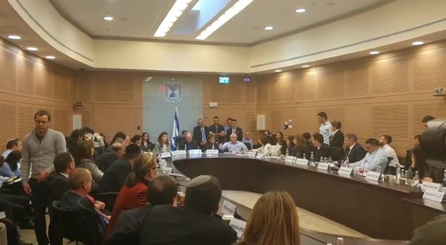 חיים כץ דיון חסינות