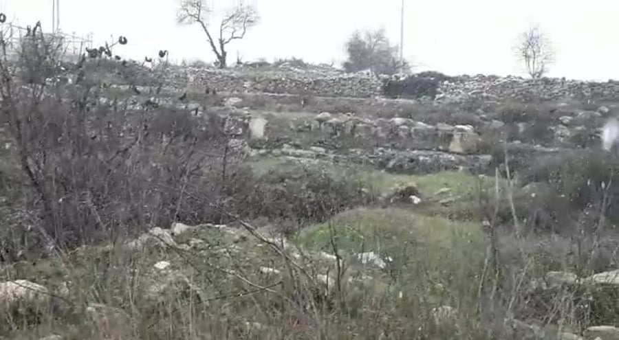 שלג הר חברון שמעון אסולין