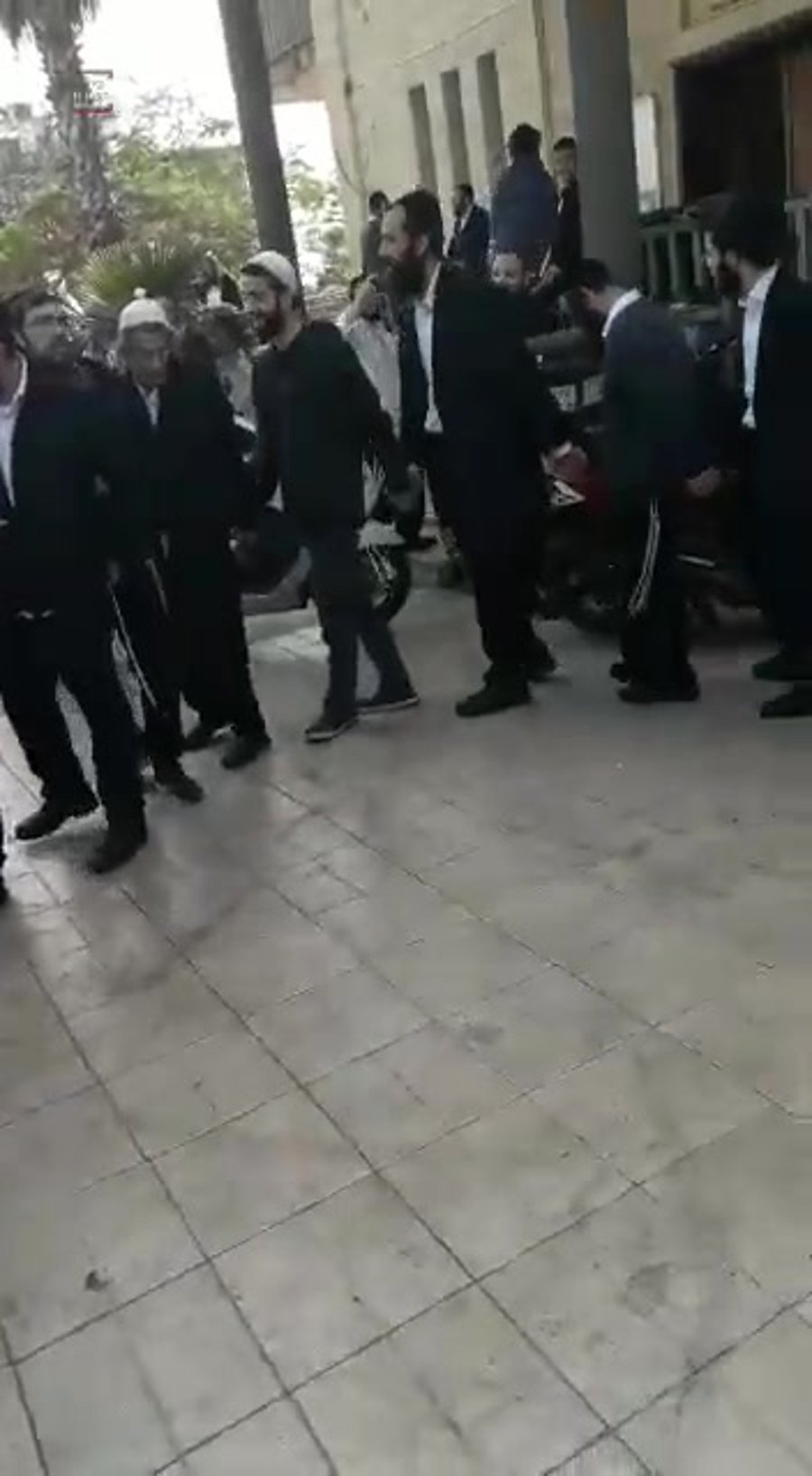 הרב קוק