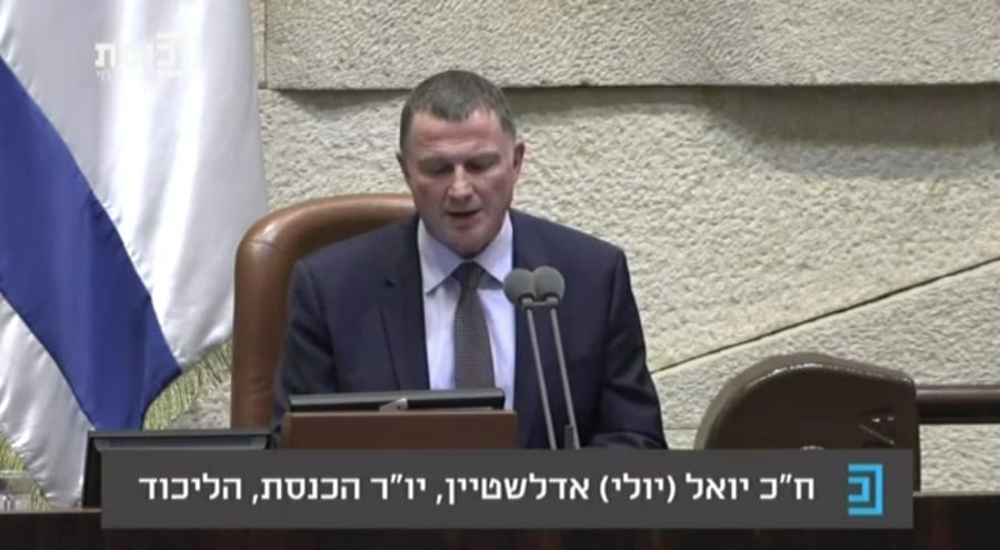 אדלשטיין ועדות הכנסת
