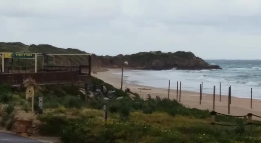 WhatsApp Video 2020-04-11 at 10.01.34