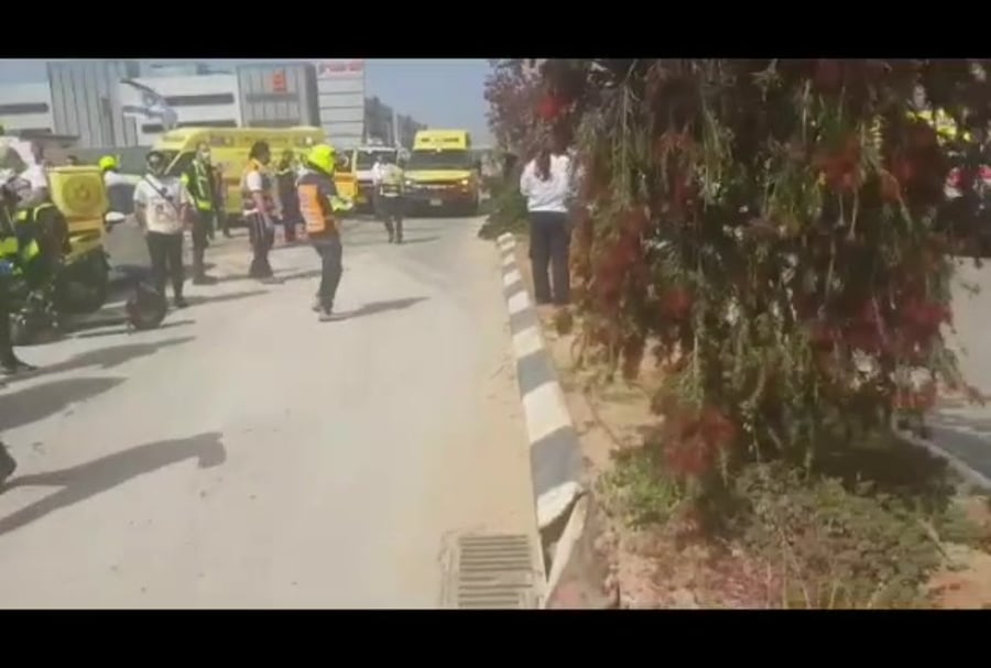 WhatsApp Video 2020-04-22 at 10.12.01