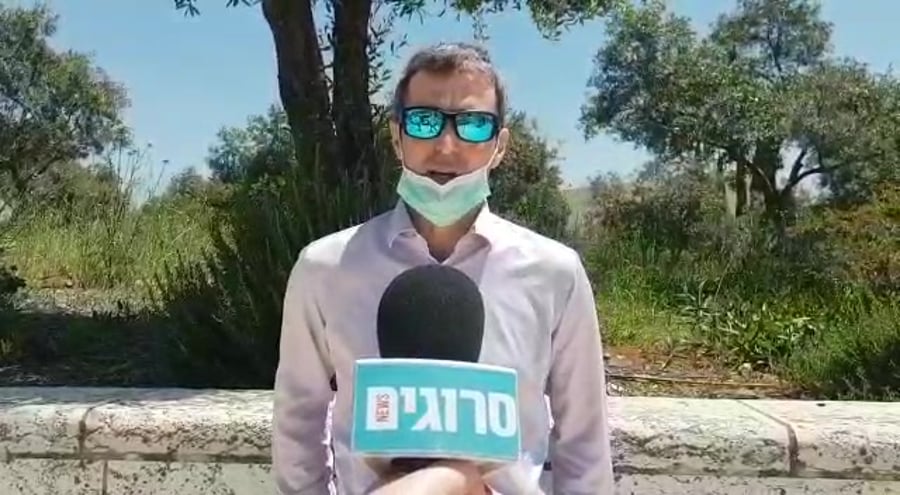 ארז תדמור