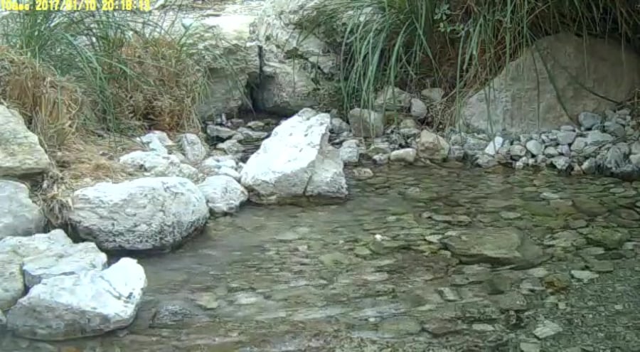 WhatsApp Video 2020-05-07 at 13.31.58