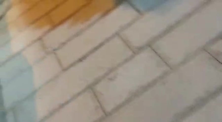 WhatsApp Video 2020-05-11 at 23.28.09