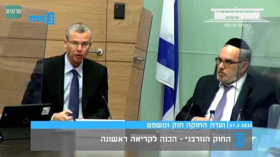 יריב לוין ועדת חוקה