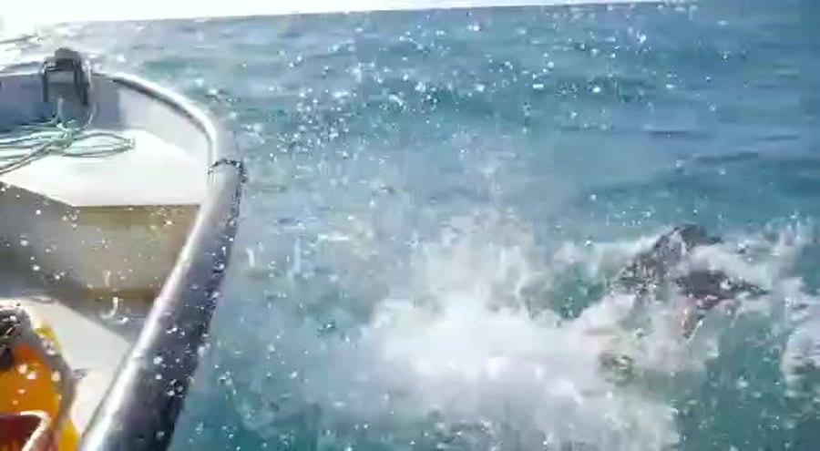 הולכים על בטוח טיפים לטיולי שטח פתיח