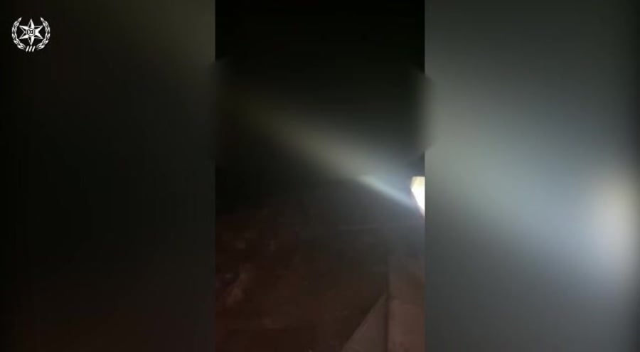 WhatsApp Video 2020-07-10 at 09.11.52