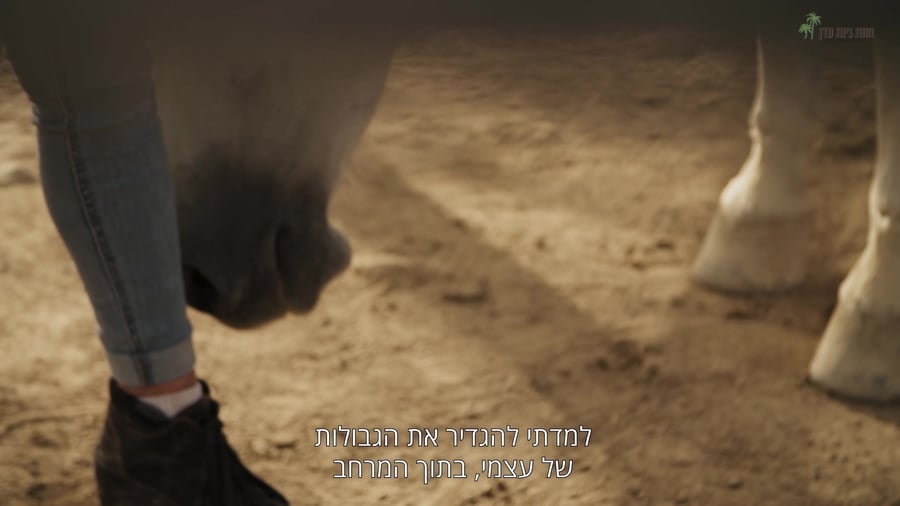 NEHALA FINAL HEB SUB