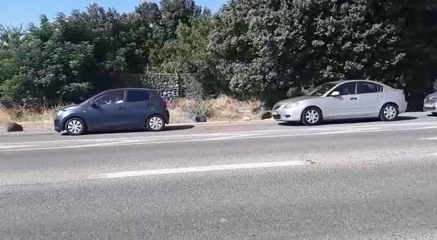 WhatsApp Video 2020-08-02 at 11.10.26