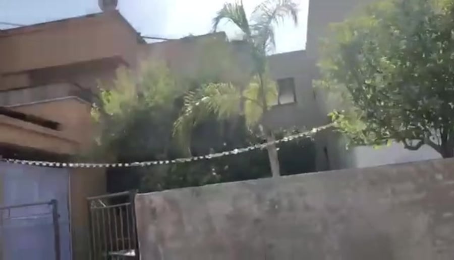 הפרויקט של אביה באלקנה