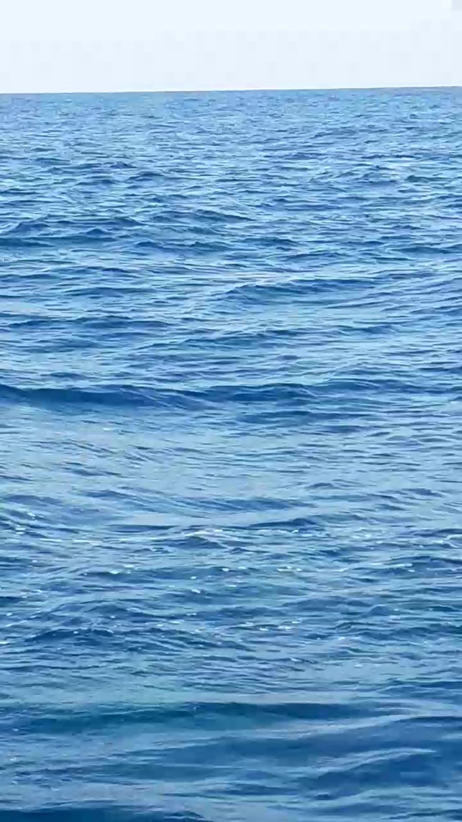 WhatsApp Video 2020-10-18 at 14.40.21