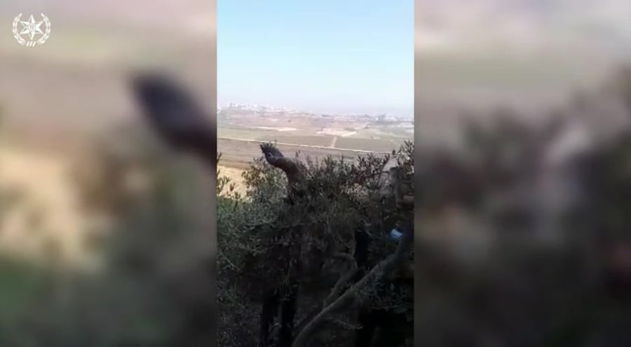 WhatsApp Video 2020-10-22 at 15.26.51