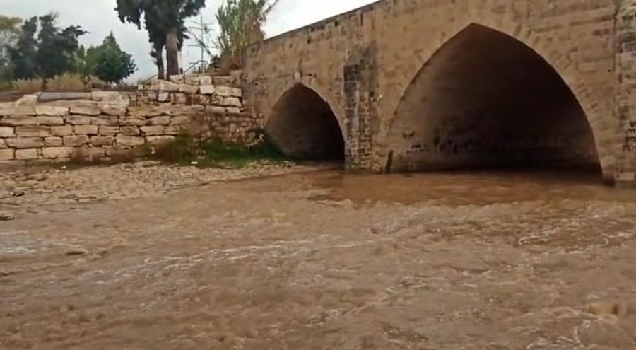 נחל לכיש גשר עד הלום באשדוד. צילום ברק ביכלר החברה להגנת הטבע (1)