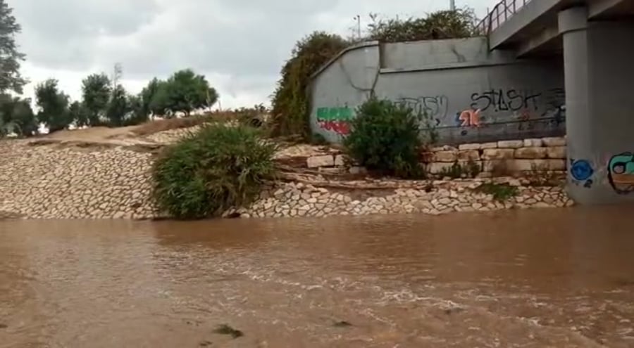 נחל לכיש גשר עד הלום באשדוד. צילום ברק ביכלר החברה להגנת הטבע (2)