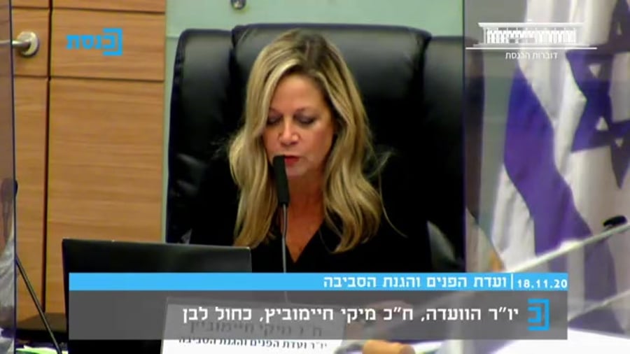 מיקי חיימוביץ בועדת הפנים על מפגיני הליכוד ערוץ כנסת