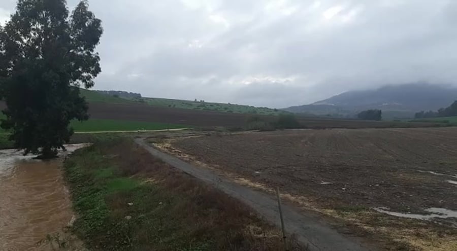נחל תבור זורם חגי עוז רשות הטבע והגנים